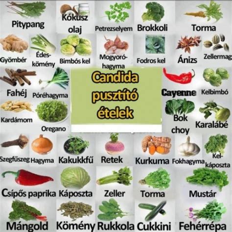 Candida diéta ételek