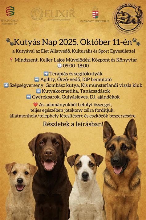 kutyás élet illusztráció