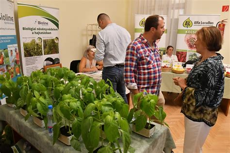 A paprika eredetét bemutató térkép