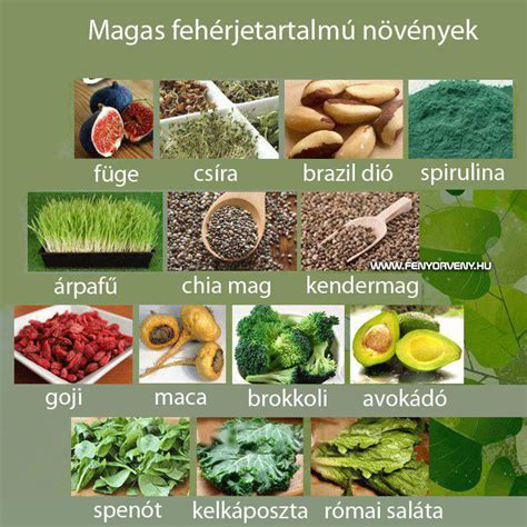 Gyógyhatású növények listája