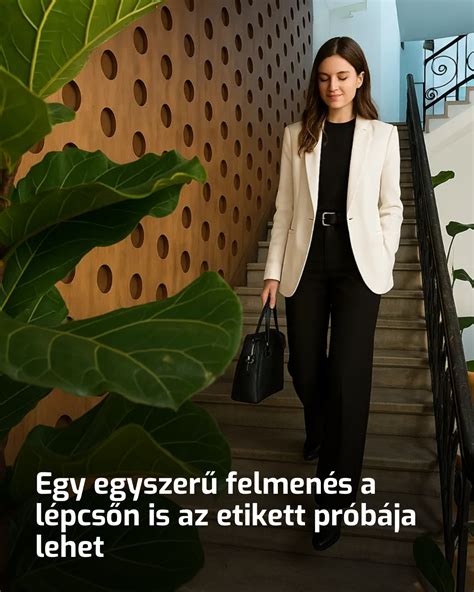 Malaccsiga egy lépcsőn Budapesten