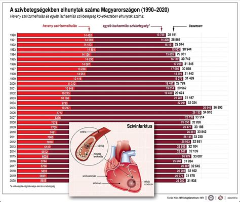 A szív- és érrendszeri betegségek kockázati tényezői