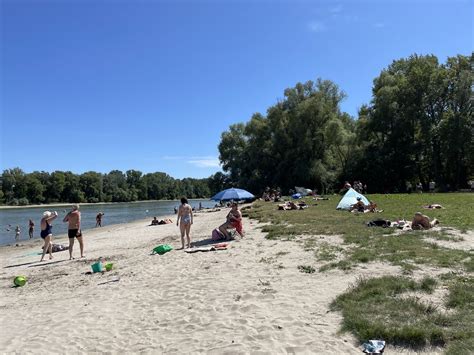 Légifelvétel a Platán Szabadstrand ligetes szerkezetéről és homokos partjáról
