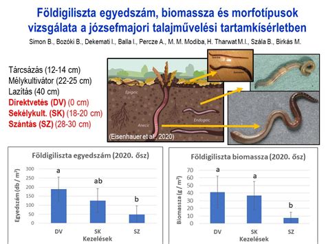 A talaj összetételének vizsgálata laboratóriumban