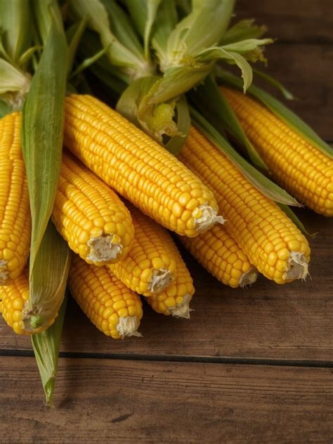 friss csemegekukorica a piacon