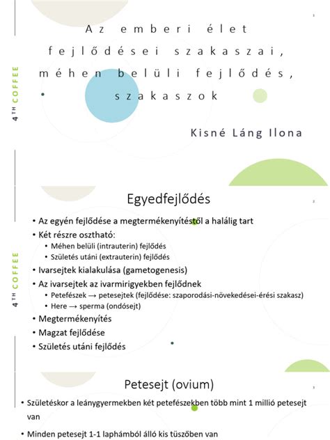Az érlelés folyamatának szakaszai