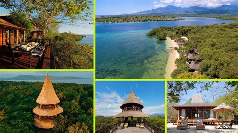 Bali seregély a Nyugat-Bali Nemzeti Parkban