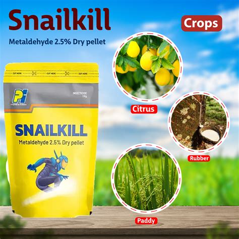 Metaldehid hatásmechanizmusa