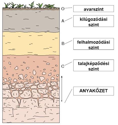 A talaj rétegei és az Amalgerol hatása