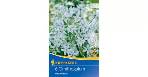 Ernyős madártej elterjedési térképe