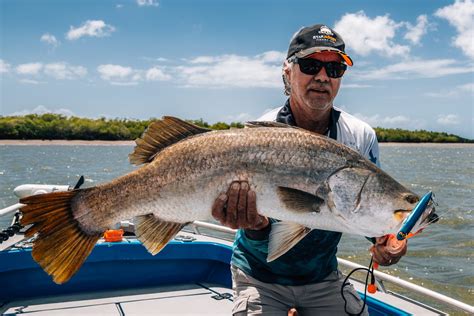 barramundi hal