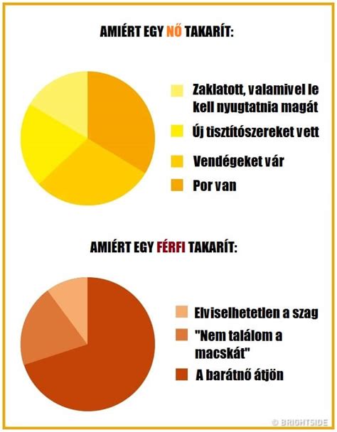 Kazein és tejsavófehérje közötti különbségeket bemutató infografika