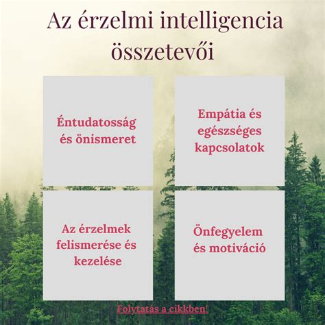 különféle salsák összetevői