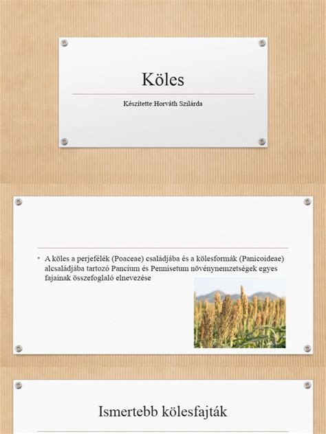 Különböző kölesfajták összehasonlítása