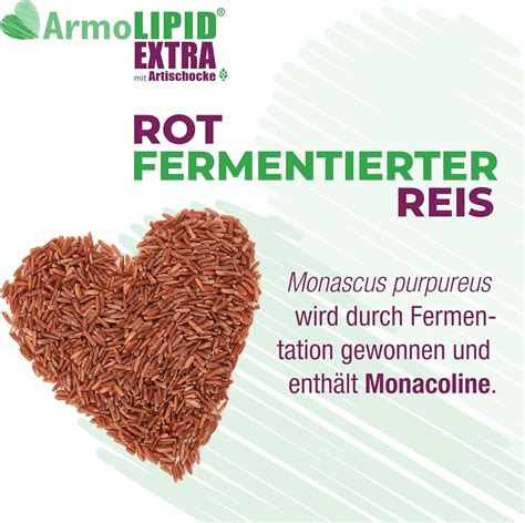 A fermentált vörös rizs előállítási folyamata
