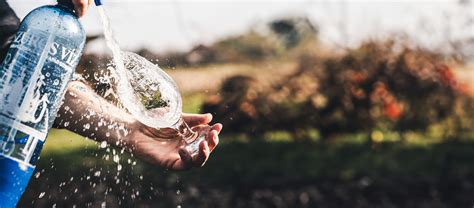 Infografika: Tonik víz, Club Szóda, Seltzer összehasonlítása