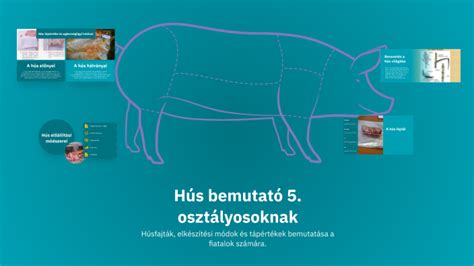 A hús élettani jelentőségét bemutató infografika