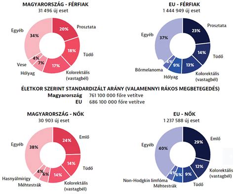 Diagram: étkezési díjak és ingyenesség megoszlása