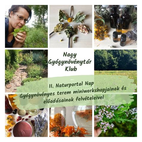 Természetes gyógynövények és magnéziumforrások elrendezése