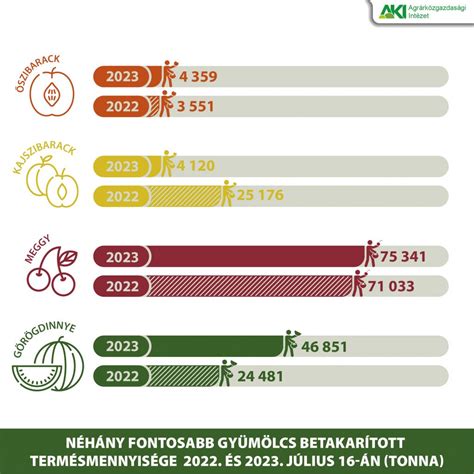 A 2024/25-ös tanév országos versenyeredményei infografika