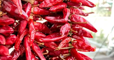 A magyar konyha alapfűszere: paprika
