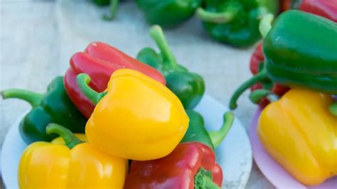 Színes kaliforniai paprika