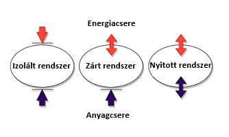 zárt hurkú rovartenyésztési rendszer