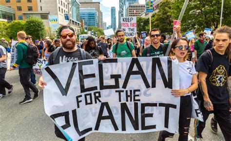Vegán aktivisták demonstráción