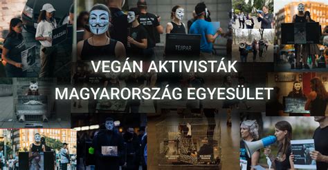 Vegán aktivisták párbeszédben járókelőkkel
