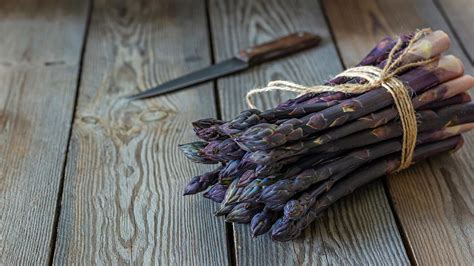 spárgafajták különbségei