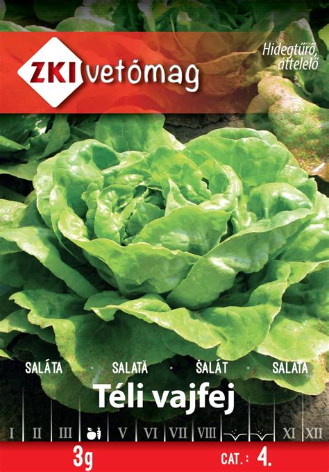 Téli saláta termesztés fóliában