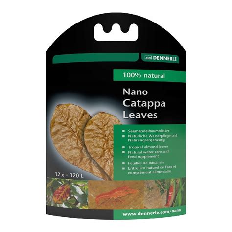 Catappa levelek garnélás akváriumban