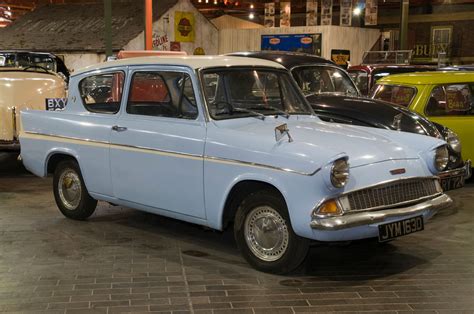 Anglia rovarvilága