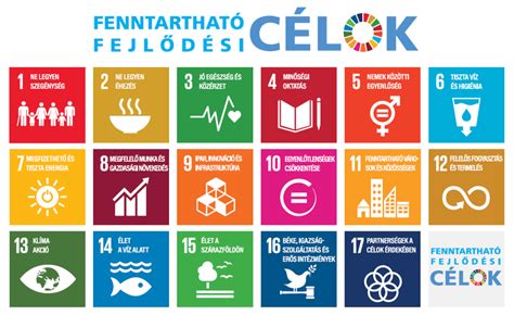 Fenntartható csokoládé termelés