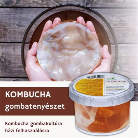 Házi kombucha készítésének lépései