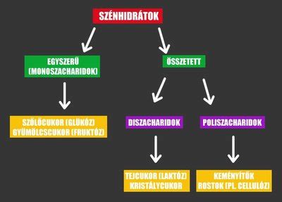 A szénhidrátok csoportosítása