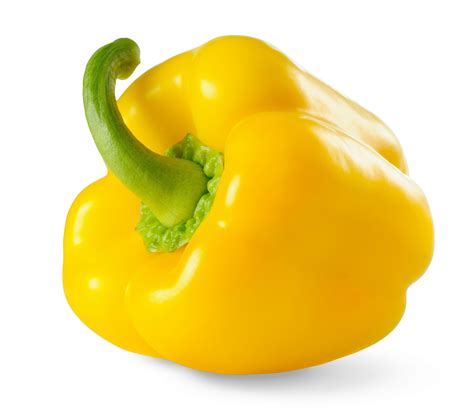 Sárga kaliforniai paprika betakarítás előtt