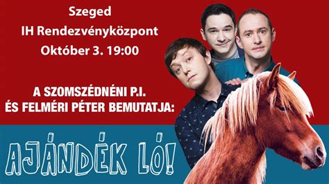 Felméri Péter előadás közben