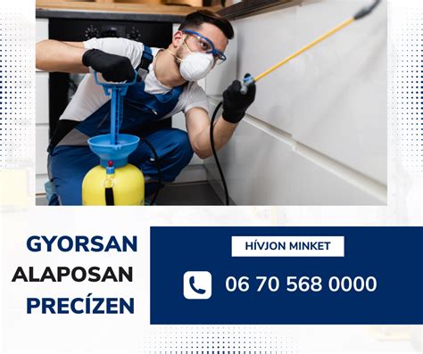 rovarirtás gőzzel
