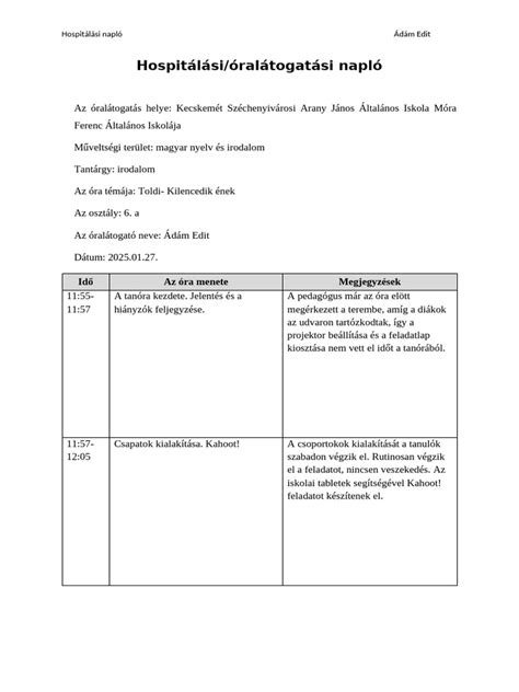 Példa fagylalt napló oldalra