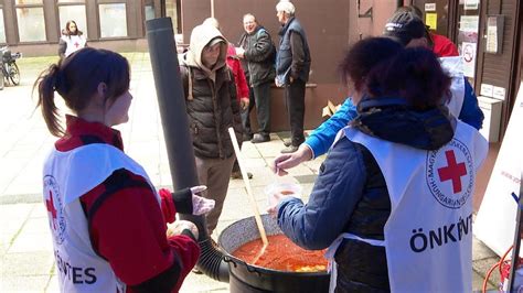 Egy tál meleg salátaleves tojással és szalonnával