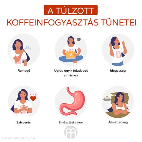 A koffein és L-teanin hatásait bemutató infografika