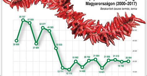 fűszerpaprika termesztése és érettségi állapotok