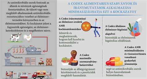 Infografika: Uzsora és annak hatása az áldozatokra