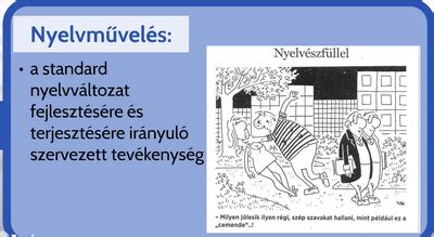 Töltelékszavak használata a németben