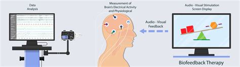 A biofeedback és neurofeedback elveit illusztráló diagram