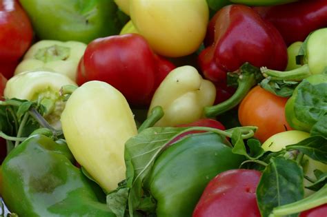 Tápanyagok aránya a paprika különböző fejlődési fázisaiban