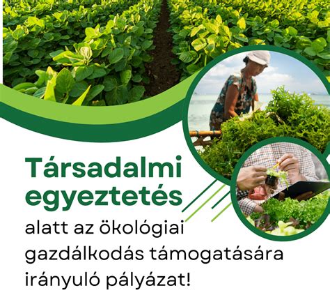 Fenntartható élelmiszertermelés
