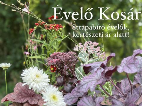 Rózsadugvány vízben gyökereztetve