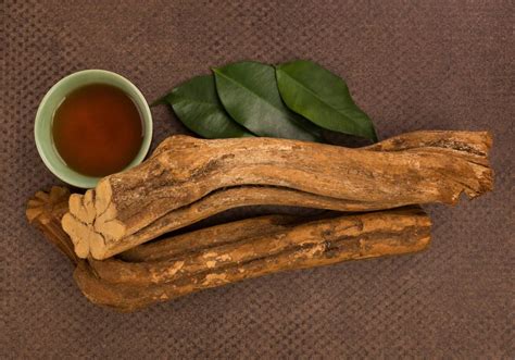 Ayahuasca főzőedények